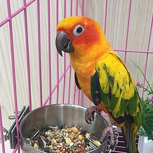 Stainless Steel Bird Feed Box Parrot Cups Bowls Container for Food Water Feeding Supplies