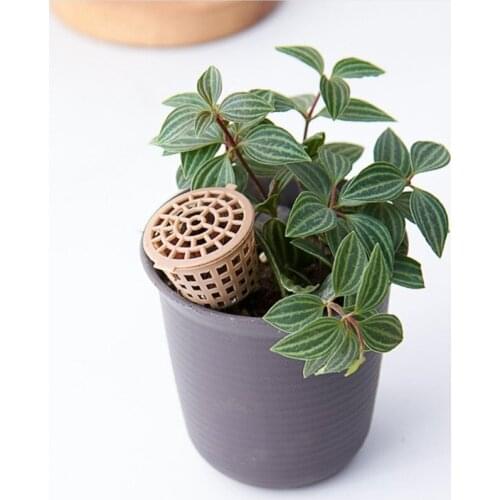 20 Pcs Fertilizer box Bonsai Tool Fertilizer Cover Basket Box Dome Case Plastic Plant Bug Portable Nursery Pots