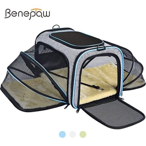 Benepaw Breathable Soft-Sided Pet Travel Carrier 4 Sides Expandable Collapsible Cat Small Dog Bag Removable Fleece Pad