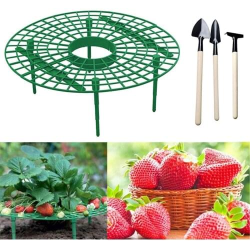 Strawberry Stand Frame Holder 3-20pcs Balcony Planting Rack Flower Growing Circle Support Rack With Tools For Orchard and Garden