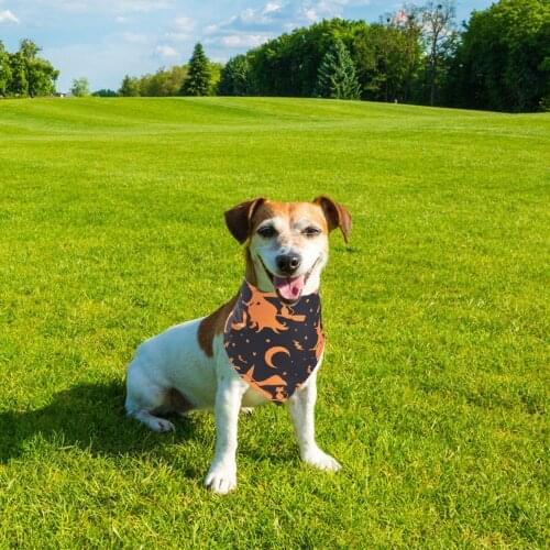 2PCS Halloween Dog Bandana Cotton Scarf Set Halloween Dog Bandanas Triangle Scarf Accessories for Cats and Dogs Large Dog Items