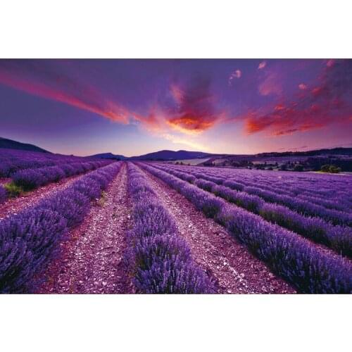 After vanilla The wooden puzzle 1000 pieces ersion jigsaw puzzle white card adult childrens educational toys