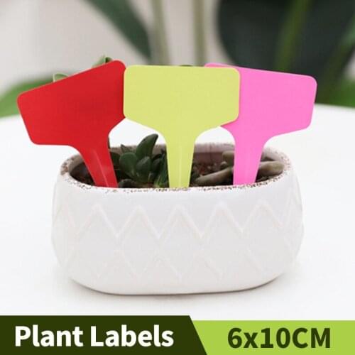 100PCS T-Type PVC Plant Labels Garden Colorful Waterproof Seedings Tags Sign Flowers Succulent Markers Bonsai Nursery Stake