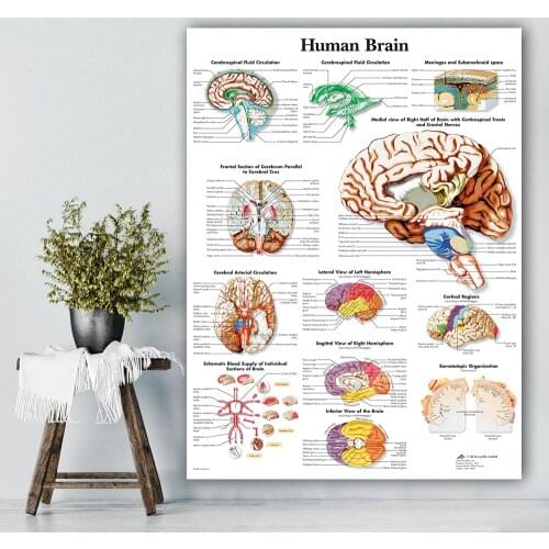 HD Print Painting Human Brain Home Organs Decor Canvas Anatomy Poster Modular Medical Education Pictures Modern Office Wall Art