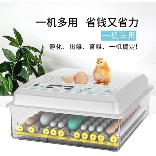 Chicken Incubator Bird Egg Kohl Duck Small Home Automatic Intelligent Incubator Incubator Mini Incubator
