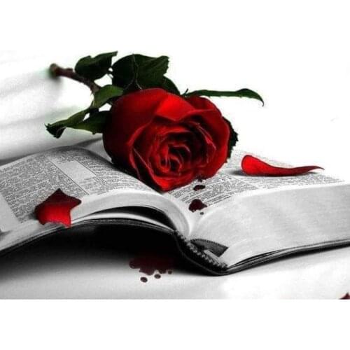 Book diamond painting rose flowers full round rhinestone embroidery picture mosaic poster diamond art drawing wall sticker decor