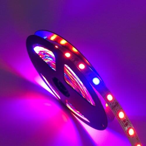 Ledbluebell Plant Lamps