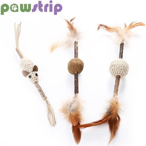 Cats Chew Toys Natural Catnip Matatabi Molar Toy Cat Chew Sticks Clean Teeth Toy Cat Teeth Protector Remove Cat Tartar Pet Toys