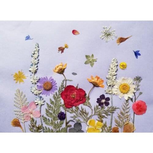 16PCS Pressed Natural Dried Flowers DIY Phone Case Bookmark Resin Jewelry