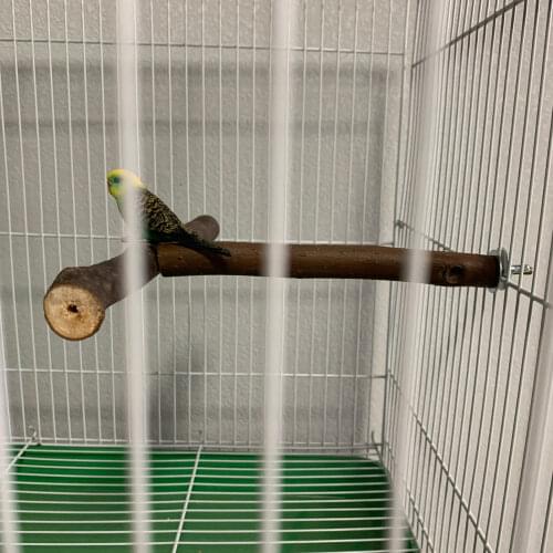 1Pcs 18cm Pet Parrot Bird Standing Stick Wood Pole Bird Cockatiel Parakeet Perches Bite Claw Grinding Toy Bird Cage Accessories