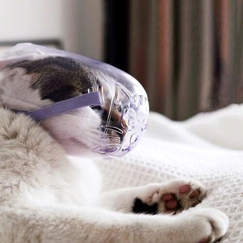 Cat mask breathable cat and dog muzzle anti-bite grooming mask pet scratch-resistant transparent bath cleaning tool
