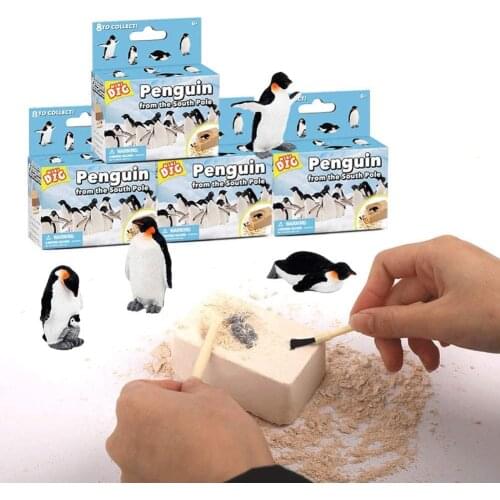 Пособия по биологии WUCHILD China At AliExpress