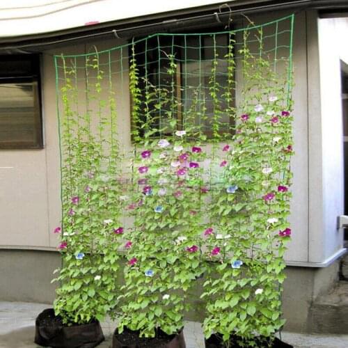 5m/10m Polyester Net Loofah Netting For Morning Glory Vine Flowers Garden Plants Climbing Net Cucumber Vine Grow Hold