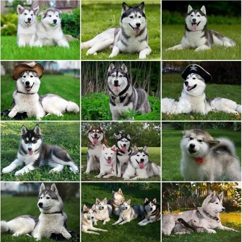 EverShine DIY Diamond Painting Animal Full Drill Square Diamond Embroidery Dog Cross Stitch Mosaic Husky Rhinestones Home Decor