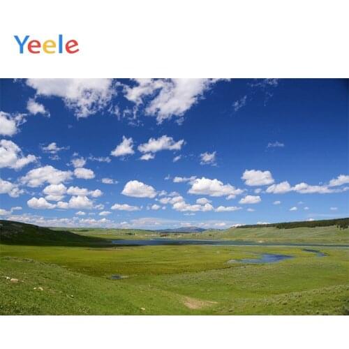 Yeele Green Screen Grass Prairie Bluey Sky Photography Landscape Backdrops Personalized Photographic Background For Photo Studio