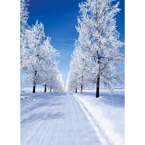 VinylBDS Winter Photo Background 10x10ft Ground Snowflakes Tree Photography Backdrops Washable White Background Photo 3241 LK