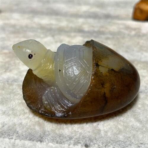 Agate Natural Stone And Crystal Live Carving Tortoise Wicca Wichcraft Reiki Raw Gems Minerals Ornaments For Home Decoration Room