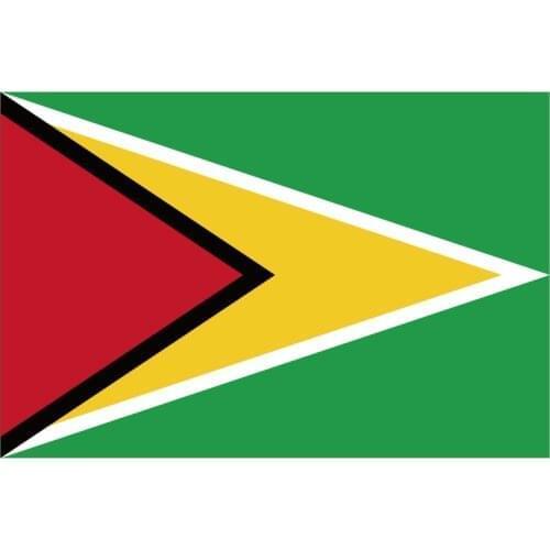 Free shipping Aerlxemrbrae flag Guyana Flag 150X90CM 3X5FT Banner Polyester grommets Guyana Flag