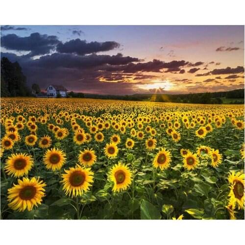 5D DIY Diamond Embroidery Scenery Full resin Diamond Painting Cross Stitch Rhinestone Mosaic Decoration Sunflower