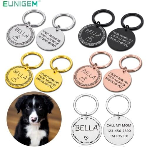 Personalized Cat Dog Pet ID Tag MICROCHIPPED Keychain Pet Name for Cat Puppy Dog Collar Tag Pendant Keyring Pet Accessories