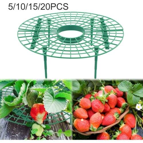 5/10/15/20 PC Strawberry Stand Frame Holder Balcony Planting Rack Fruit Support Flower Climbing Vine Pillar Gardening Stand