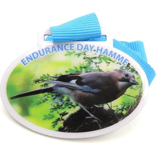 There is a great discount for printing dilute enamel medallion round zinc alloy medal