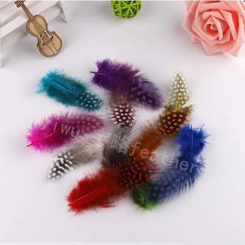 50PCS Dot Feather 4.5-10cm Dyed Chicken natural Pheasant Feathers for Crafts Jewelry Making Accessories Decoration Plumes