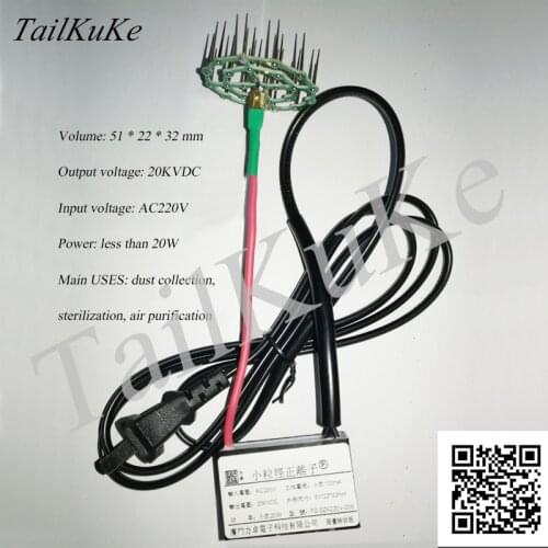 Small Volume Positive Ion Generator 220V Electrostatic Positive Ion Generator Smoke and Odor Removal Air Purifier