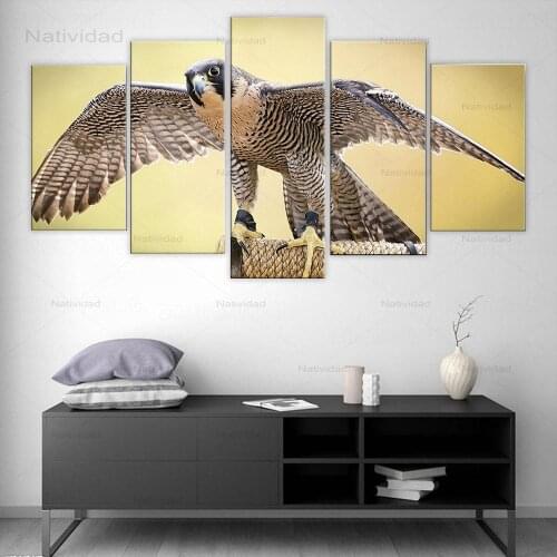 Posters Picture On Canvas Wall Art 5 Pieces Falcon Animals Modular Decoration Living Room Home Hd Print Modern Painting No Frame