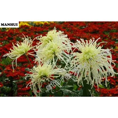 Diy Diamond Painting 3D Diamond Embroidery Flower Pictures Of Rhinestones Hobbies And Crafts Material For Handmade BEC036