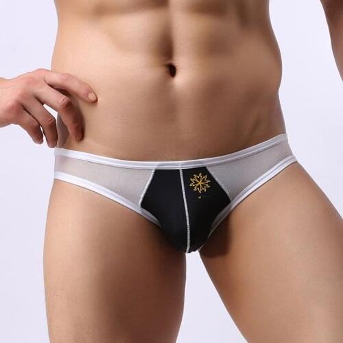 Men Fashion Briefs Mesh Qucik-Dry Sexy Men Underwear Breathable Slip Cueca Male Panties Underpants Bikini Gay Panties