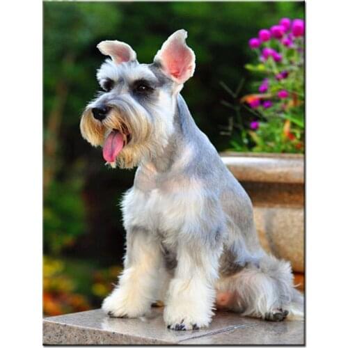 Diy 5D Full Round Square Drill Animal Funny Puppy Schnauzer Embroidery Diamond Painting Mosaic Picture Home Decor XN911