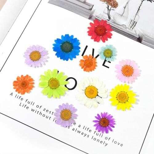 DIY Real Flower Dried Flower Resin Filling Multi-Color Fashion Small Daisy Home Nail Crafts Jewelry Mold Making Crafts