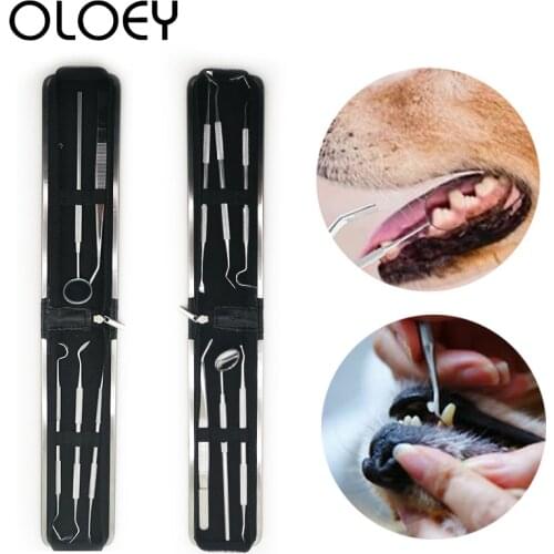 8 Types Dog Pet Toothbrush Double Head Tooth Cleaning Tool Stainless Steel Brush Bad Breath Tartar Teeth Care for Pet Product