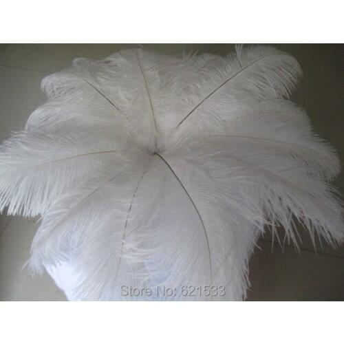 Wholesale! DIY decoration 300pcs/lot natural white ostrich feather 10-12Inches/25-30cm freeshipping