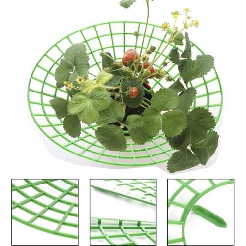 30CM Strawberry Supports Stand Handy Strawberries Growing Removable Keep Plant Off Rot in the Rainy Days Strawberries Growing
