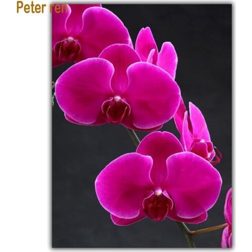 Peter ren Diy Diamond painting cross stitch Diamond embroidery Red Dragon butterfly orchid Full coverage square diamond mosaic