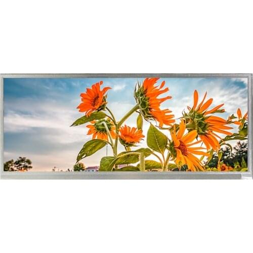 12.3 inch tft automotive display 1920x720 HSD123KPW1-A30 lcd screen with driver controller board with speaker