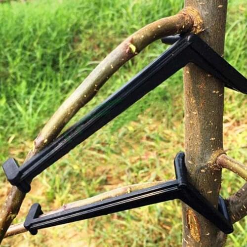 Fruit Branch Spreader Tree Branch Support Frame Support The Growth Of New Branches Branch Support For Garden Gandening Tool