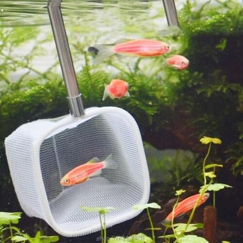 Aquarium Retractable 3D Stainless Steel Fishnet Pocket Shrimp Catching Fish Tank Cleaning Net Round / Square N16 20 Dropship