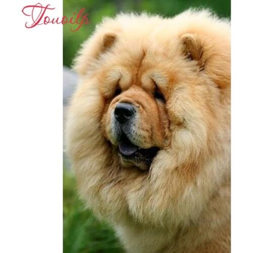 TOUOILP Needlework Chow Chow Diamond Painting Full square&round drill DIY Diamond Embroidery Mosaic Picture