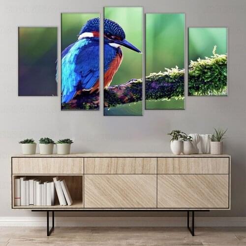 Canvas Wall Art Paintings Framework Living Room Decor HD Prints 5 Piece Perched Kingfisher Pictures Modular Animal Poster