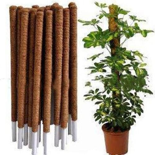 60CM/90CM Plant Climbing Coir Moss Totem Pole Coir Moss Stick For Garden Plant Climbing Support Palm Stick Dropshipping
