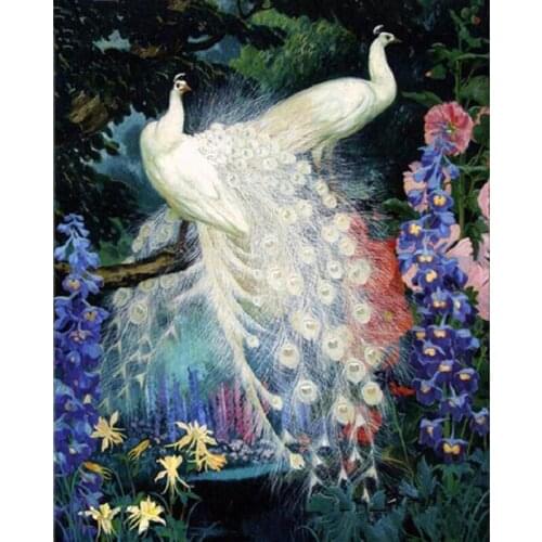 5D Diamond Embroidery white peacock pattern Diy Diamond Painting Cross Stitch Full drill puzzle rhinestone Mosaic arts l846