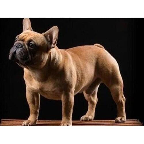 GLymg Embroidery Handicrafts Diy Diamond Embroidery Painting Diamond Wall Art Decor 5D Diamond Painting French Bulldog