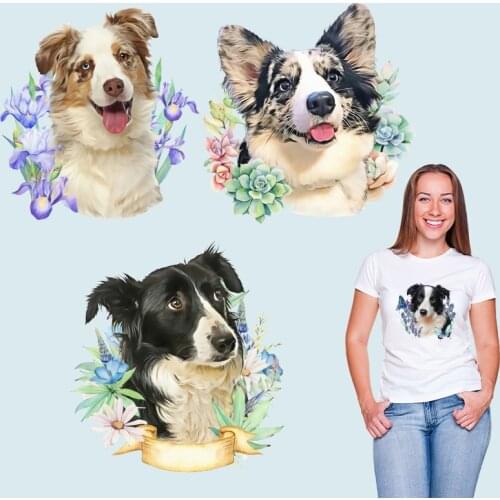 Border Collie animals stickers Flowers Ironing stickers Patches for clothing Stickers on Clothes Thermal transfer printing