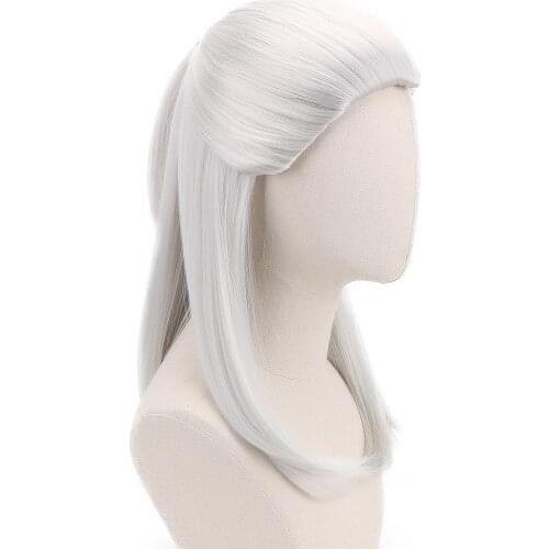Free Beauty 21" White Slivery Straight Geralt of Rivia Cosplay Synthetic Hair Wigs for Men Party Novel Game Costume Halloween