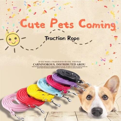 Small Dog Leash Leather Rope Pet Running Tracking Leash Long Lead Dog Mountain Climbing Elastic Rope for Small Dog