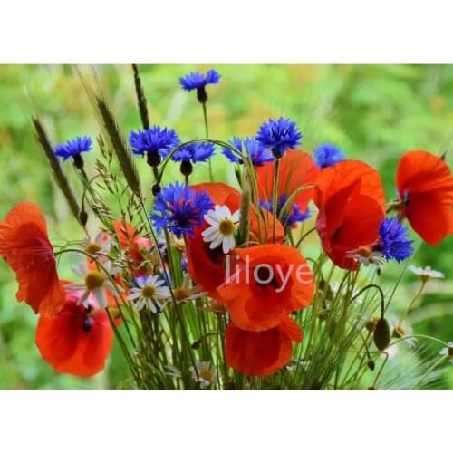 Full square / round 5D DIY Diamond Painting Blue Cornflower poppy picture Mosaic Diamond Embroidery flowers Decor Painting GH573