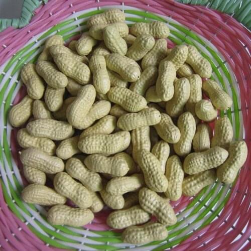 Artificial Fake Peanut Simulation Plastic Fruit Peanuts For Baby Educational Home Decor Wedding Christmas Party Decoration